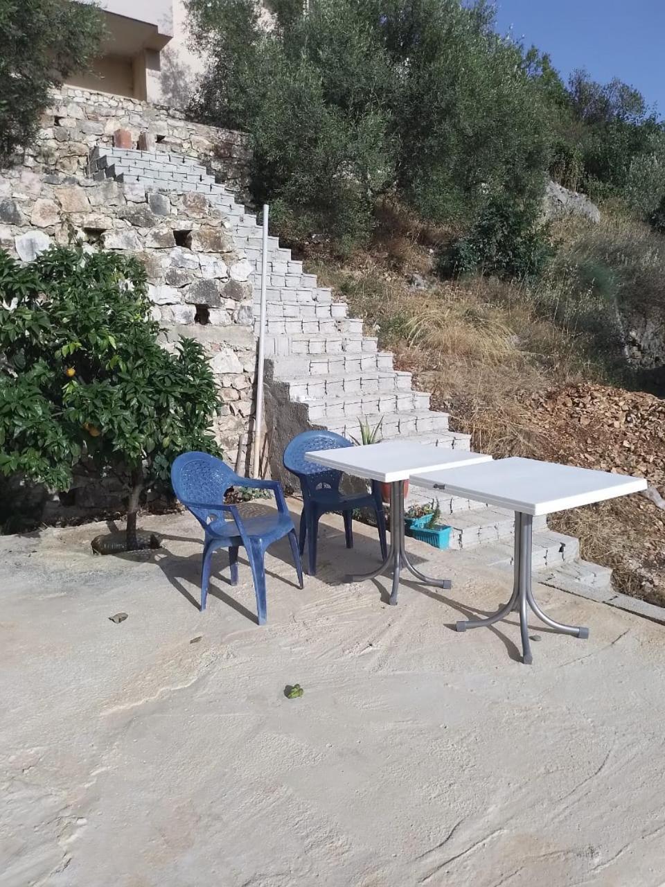 Affittacamere My House Sarandë